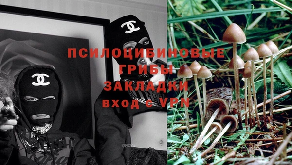 молекула духа Новодвинск
